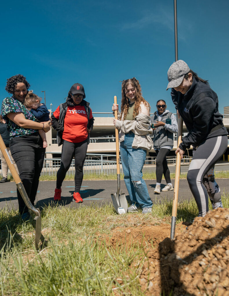 Seeds of Collaboration were Planted During TCA’s Cherry Tree Planting