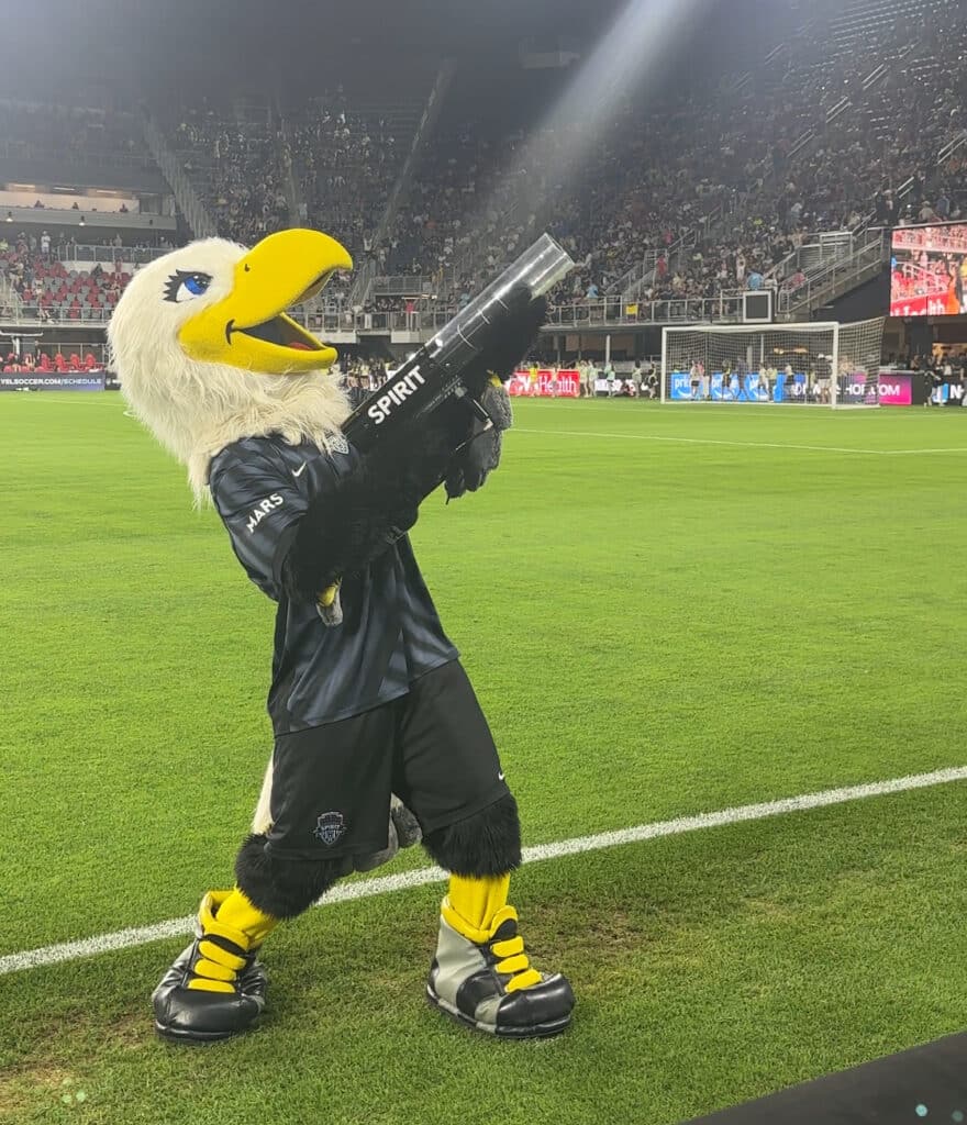 Bird Mascot