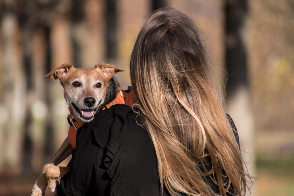 Paws on PenFed Plaza: A pet event