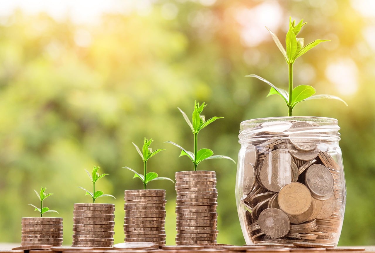 Investing Beyond the Basics