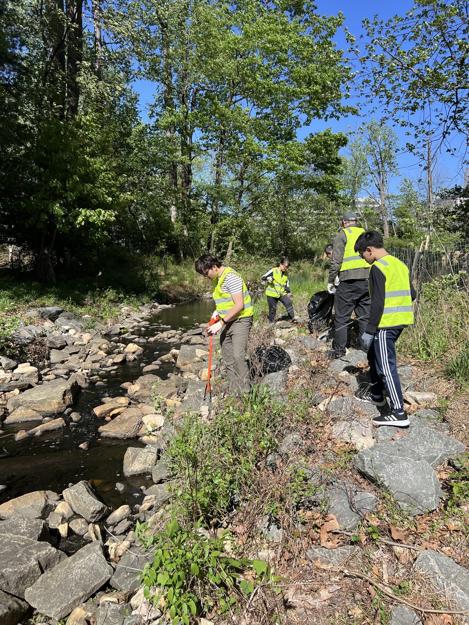 Tysons Teammates: Scotts Run Stream Valley Park Volunteer Cleanup