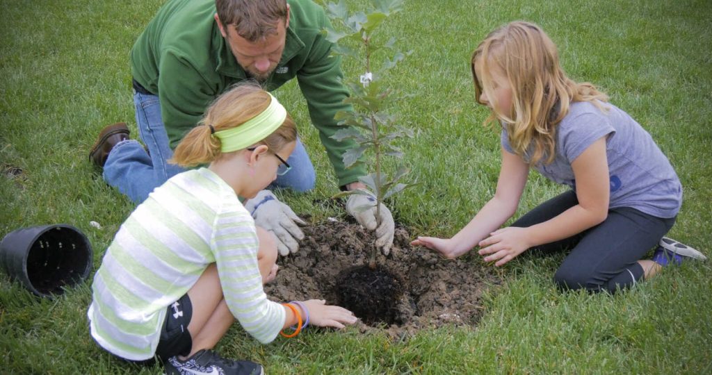 FFXnow: Fairfax County offers free trees to residents in bid to expand canopy
