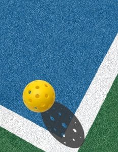 PICKLEBALL IS COMING TO METRO PARK