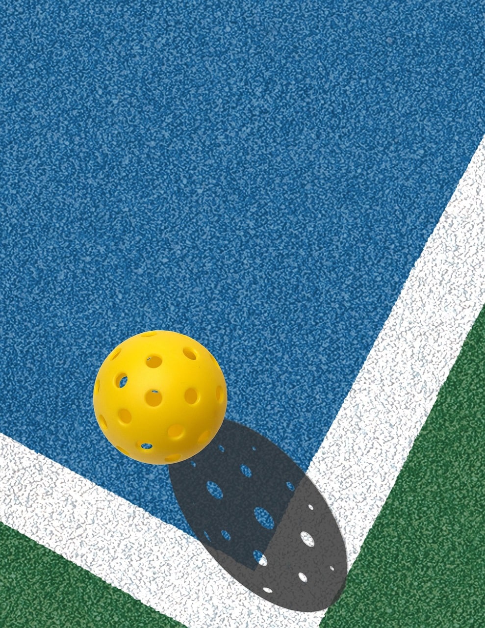 PICKLEBALL IS COMING TO METRO PARK
