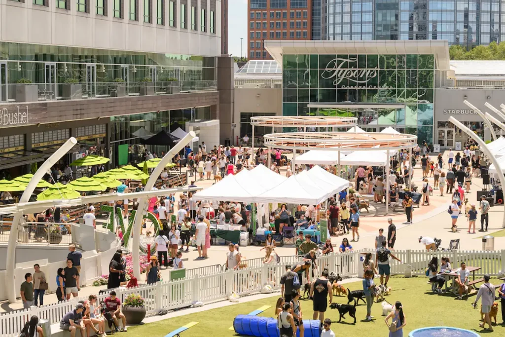 Northern Virginia Magazine: Bring Your Dog to Paws on the Plaza at Tysons Corner Center