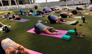 Complimentary Yoga